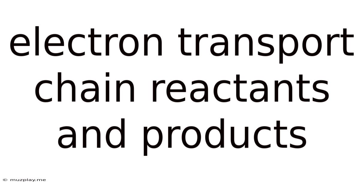 Electron Transport Chain Reactants And Products