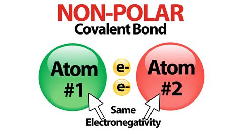 Electrons In A Polar Covalent Bond Are Shared Equally