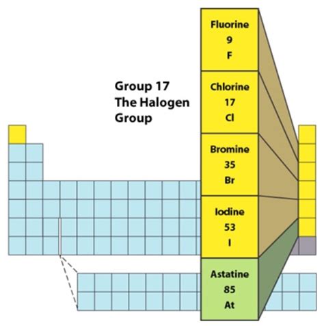 Elements Of Group 17 Are Called