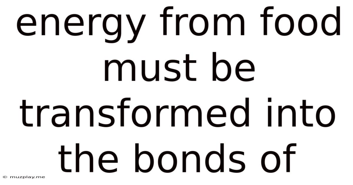 Energy From Food Must Be Transformed Into The Bonds Of