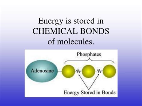 Energy Stored In Chemical Bonds Is Called