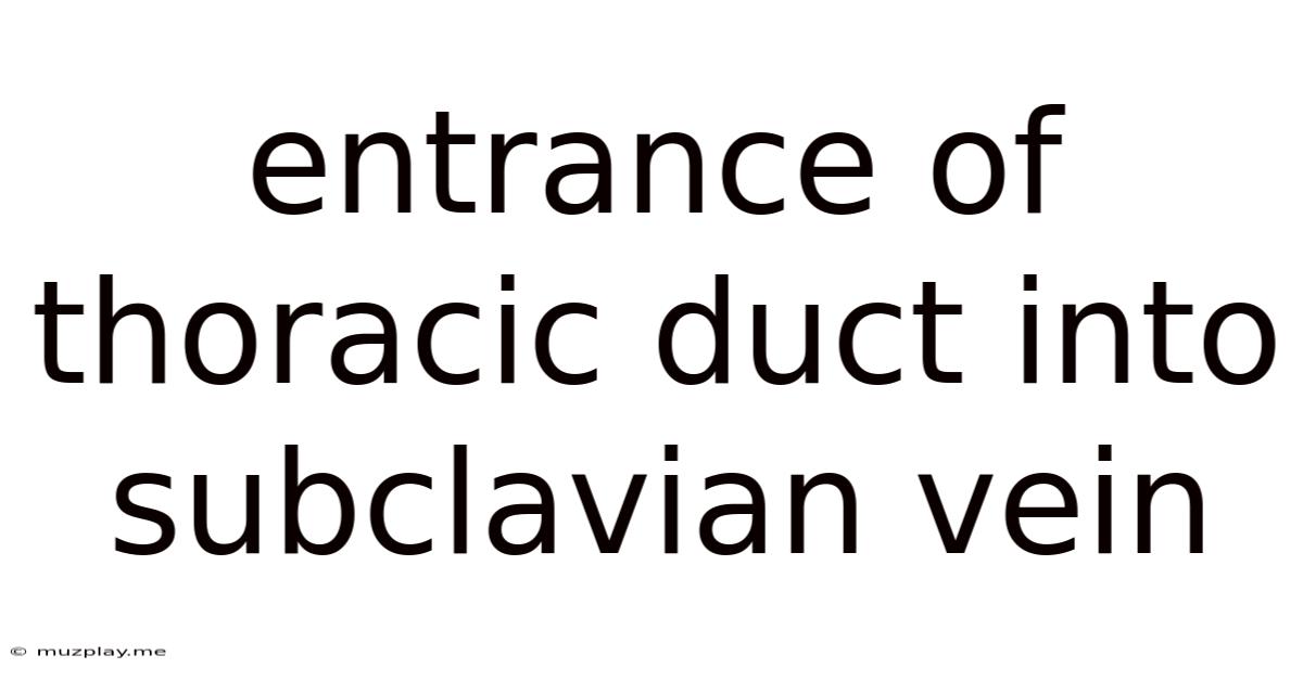 Entrance Of Thoracic Duct Into Subclavian Vein