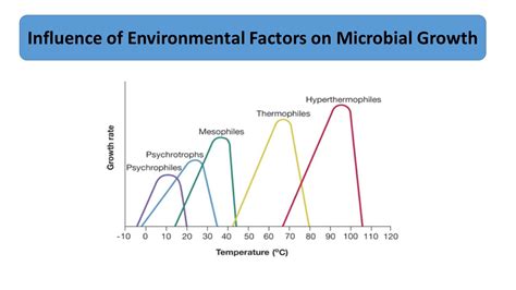 Environmental Factors That Influence Microbial Growth