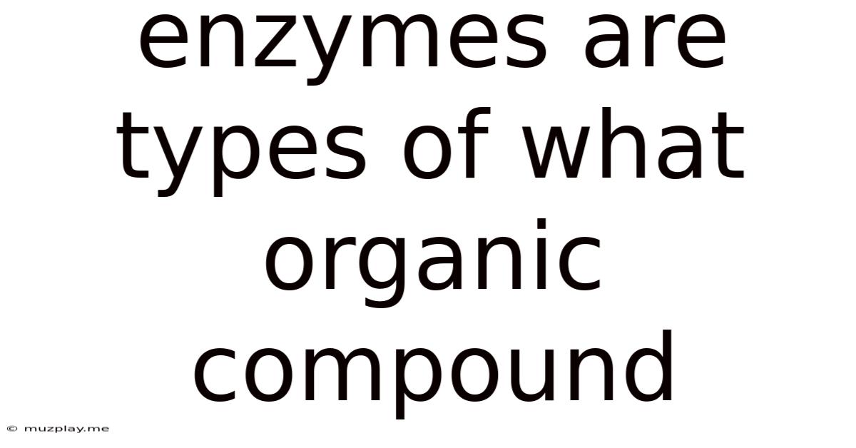 Enzymes Are Types Of What Organic Compound
