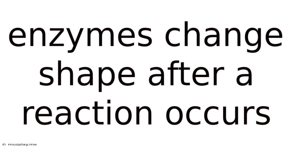 Enzymes Change Shape After A Reaction Occurs