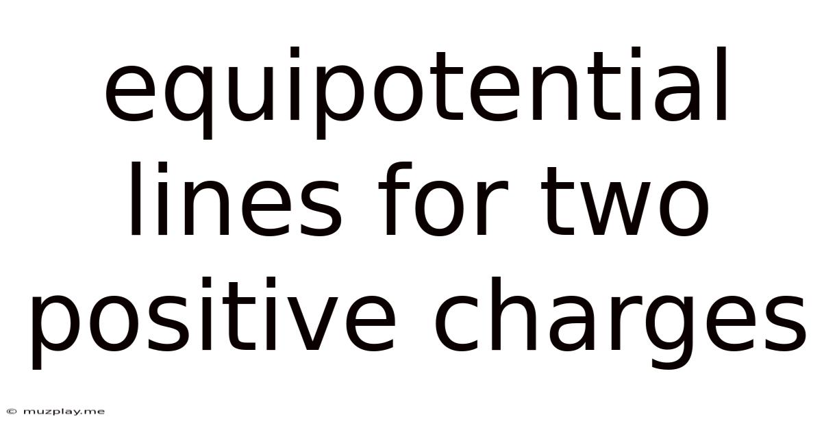 Equipotential Lines For Two Positive Charges