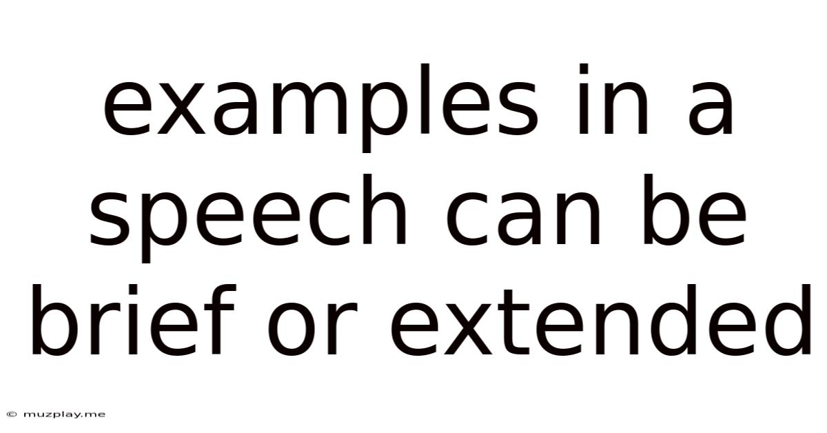 Examples In A Speech Can Be Brief Or Extended
