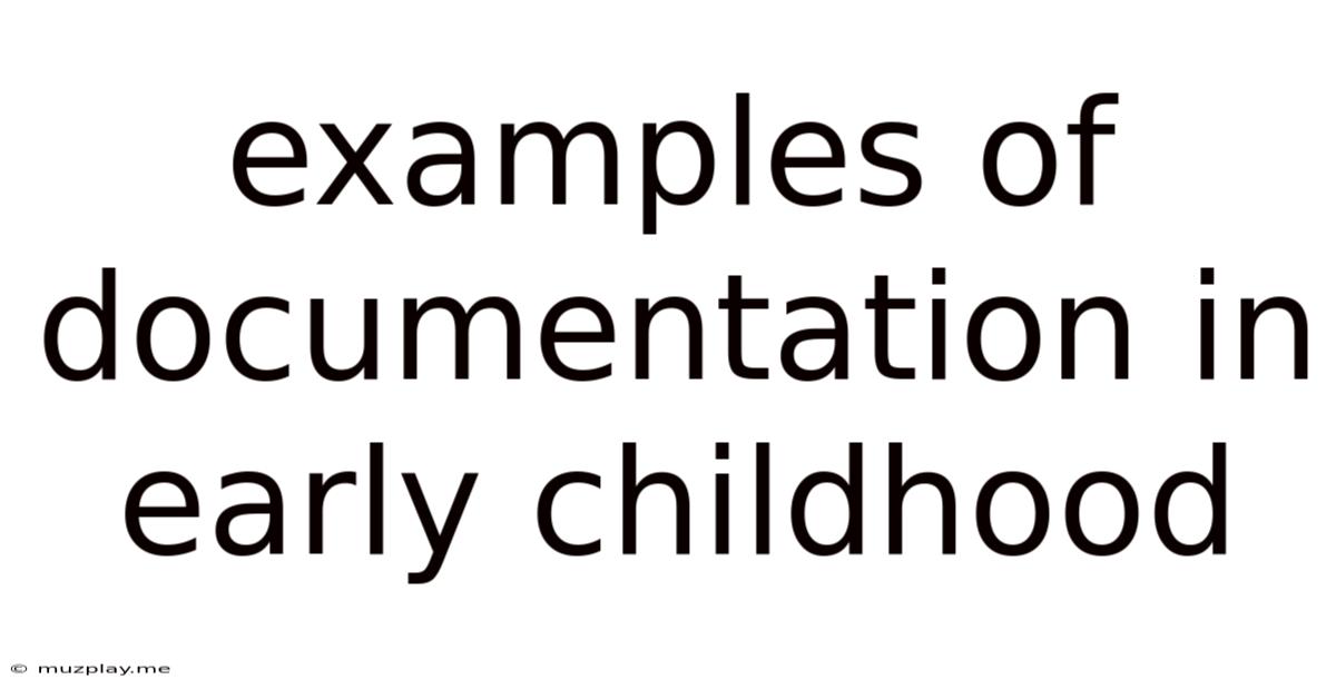 Examples Of Documentation In Early Childhood