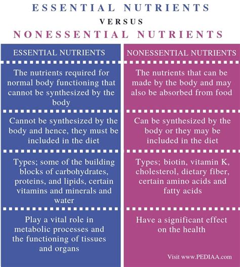 Examples Of Essential And Nonessential Nutrients