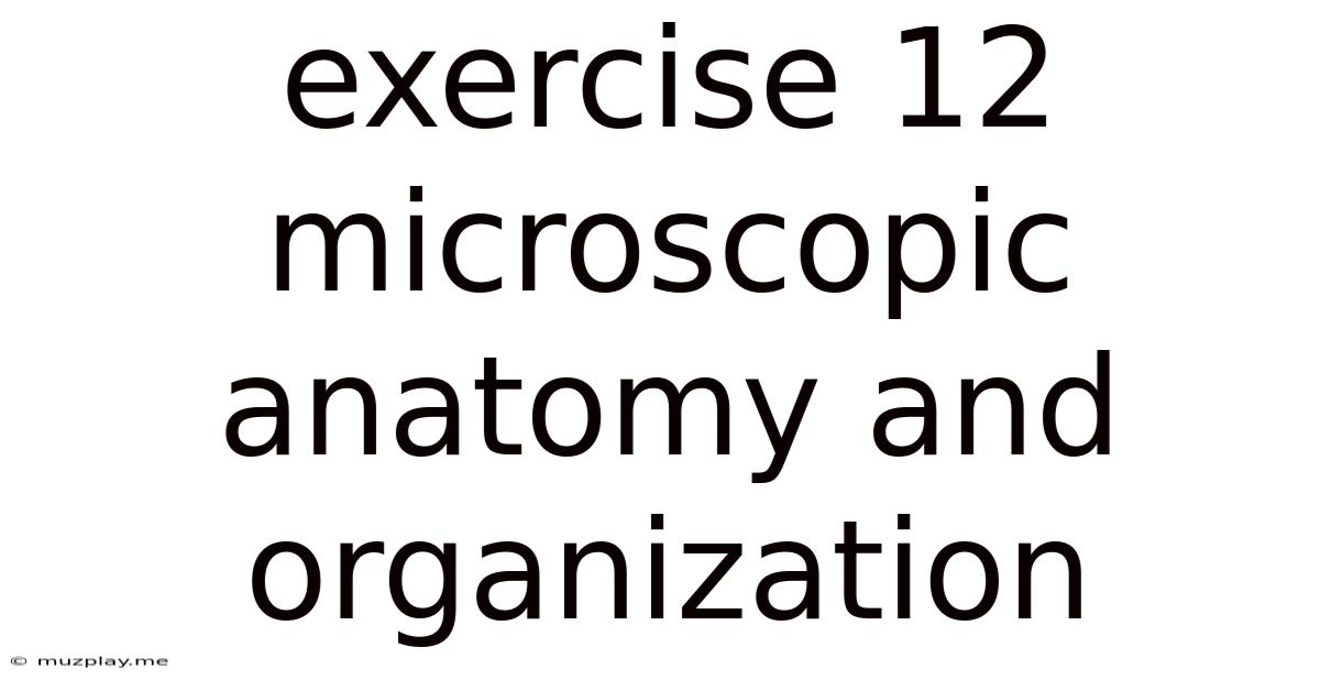 Exercise 12 Microscopic Anatomy And Organization