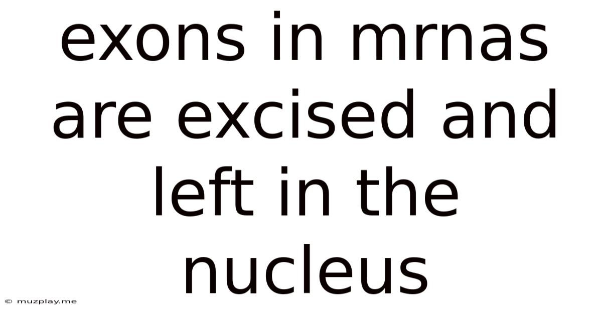 Exons In Mrnas Are Excised And Left In The Nucleus