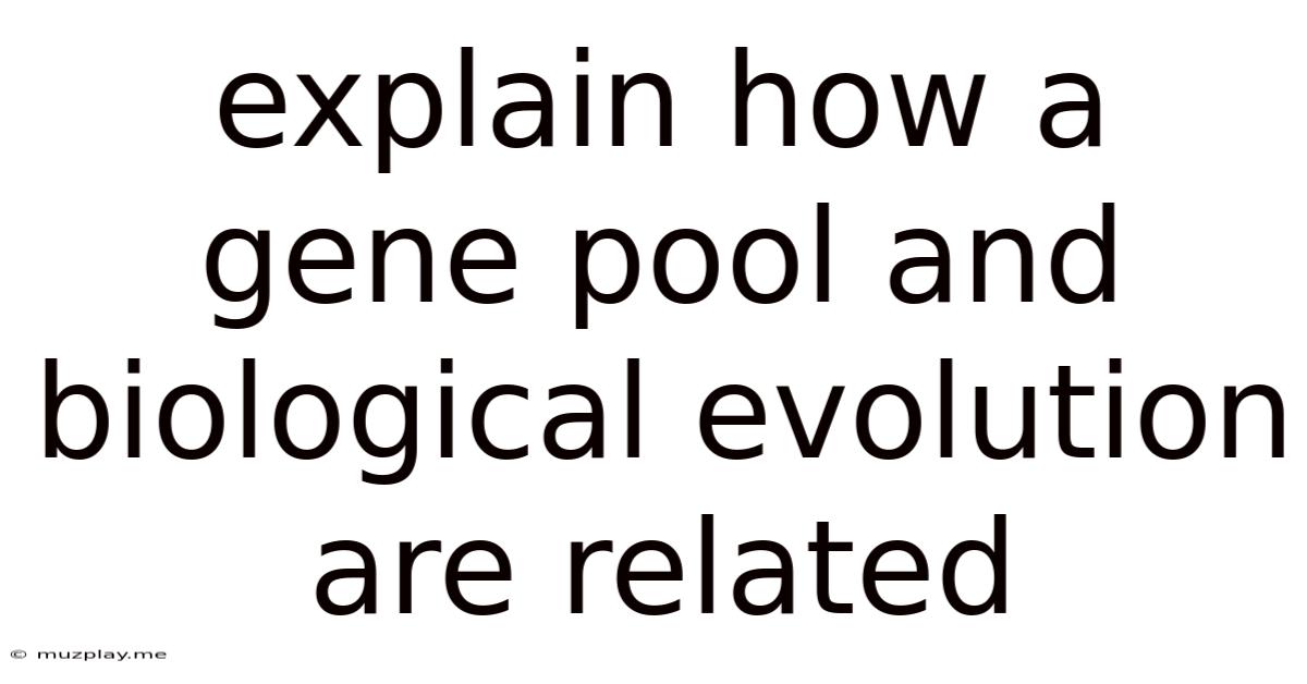 Explain How A Gene Pool And Biological Evolution Are Related