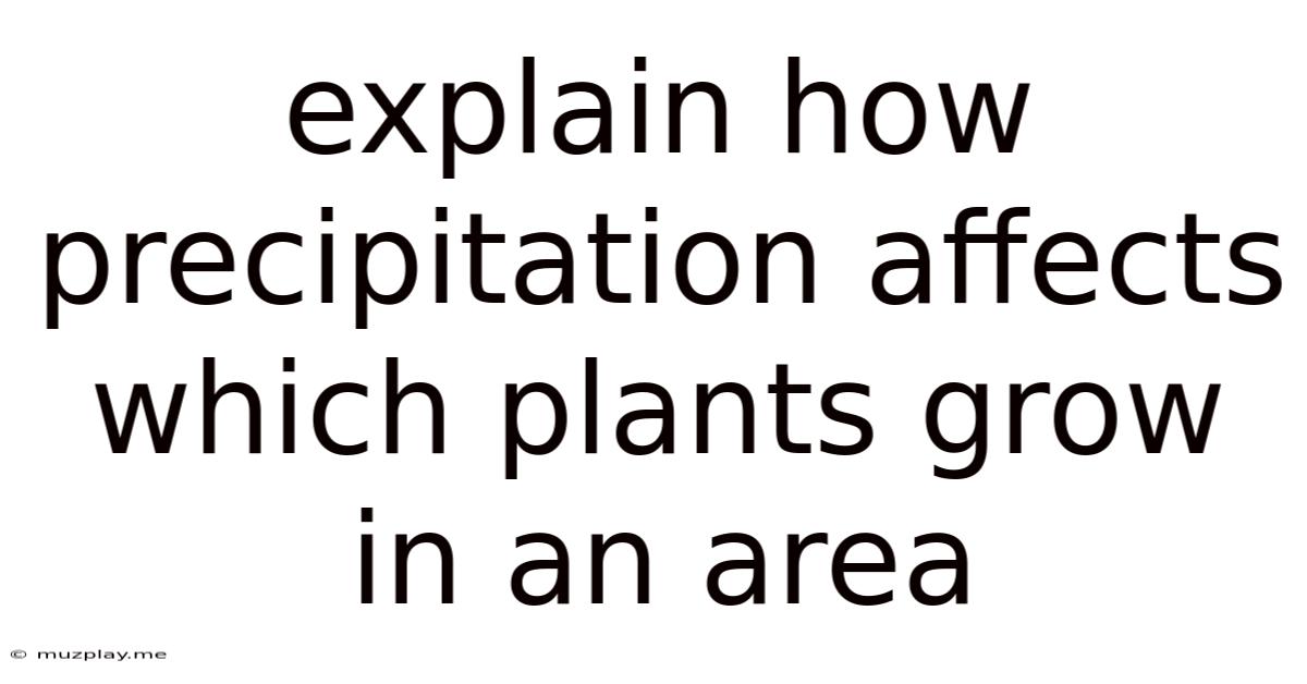 Explain How Precipitation Affects Which Plants Grow In An Area