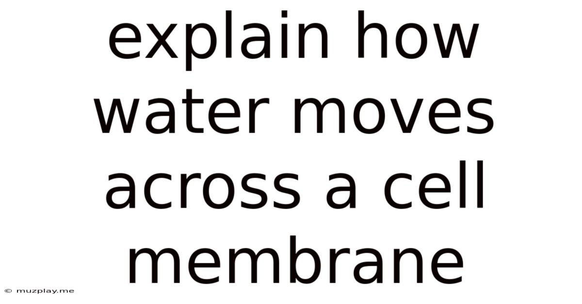 Explain How Water Moves Across A Cell Membrane