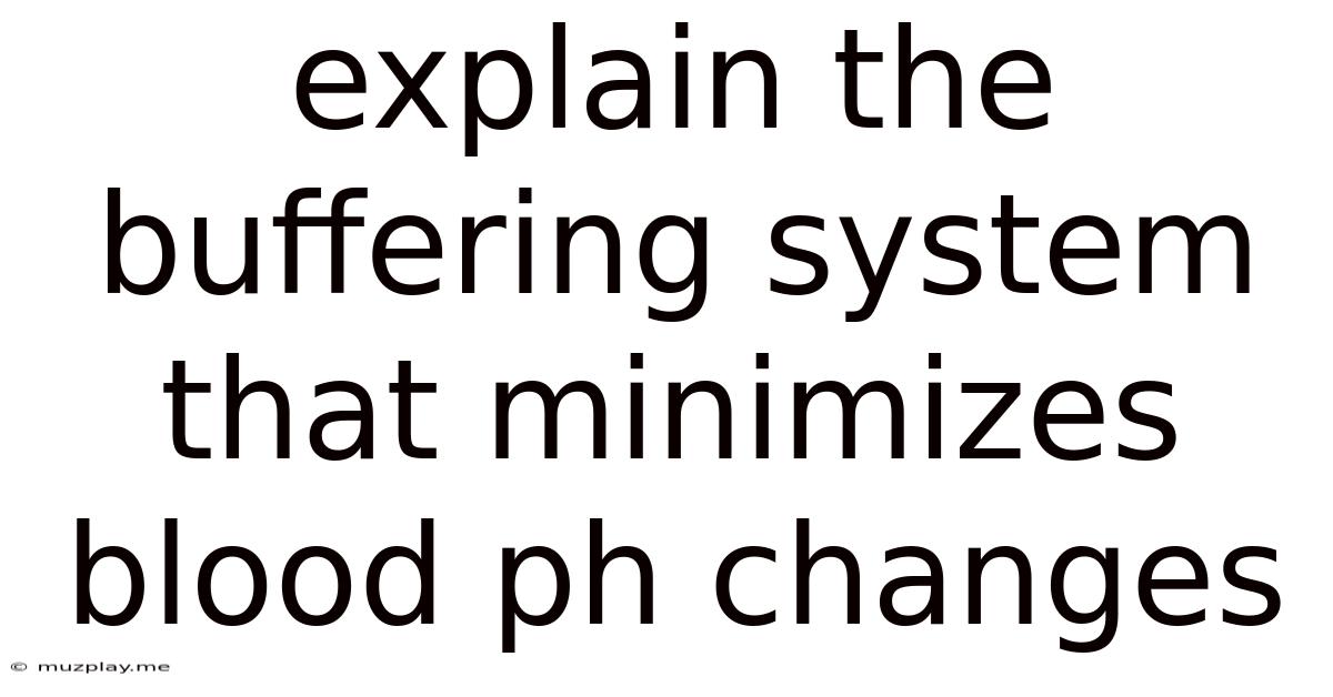 Explain The Buffering System That Minimizes Blood Ph Changes