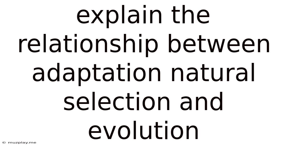 Explain The Relationship Between Adaptation Natural Selection And Evolution