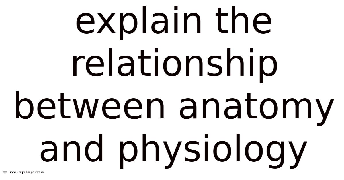 Explain The Relationship Between Anatomy And Physiology