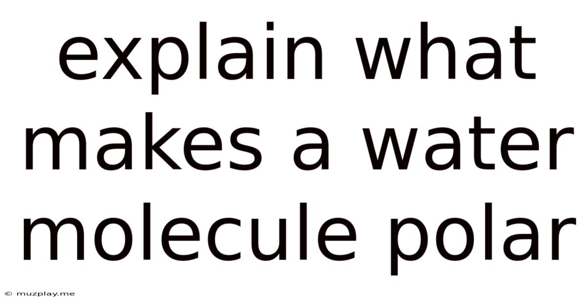 Explain What Makes A Water Molecule Polar