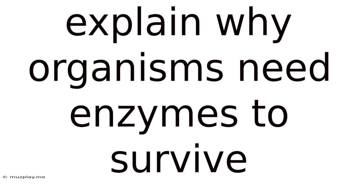 Explain Why Organisms Need Enzymes To Survive