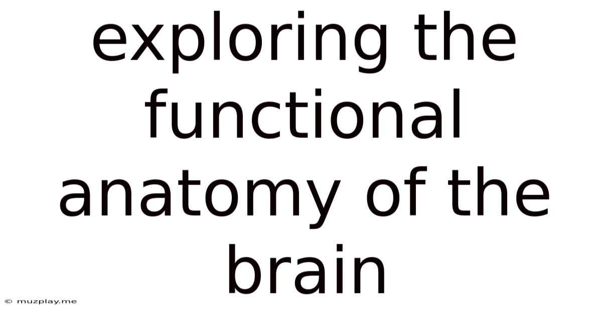 Exploring The Functional Anatomy Of The Brain
