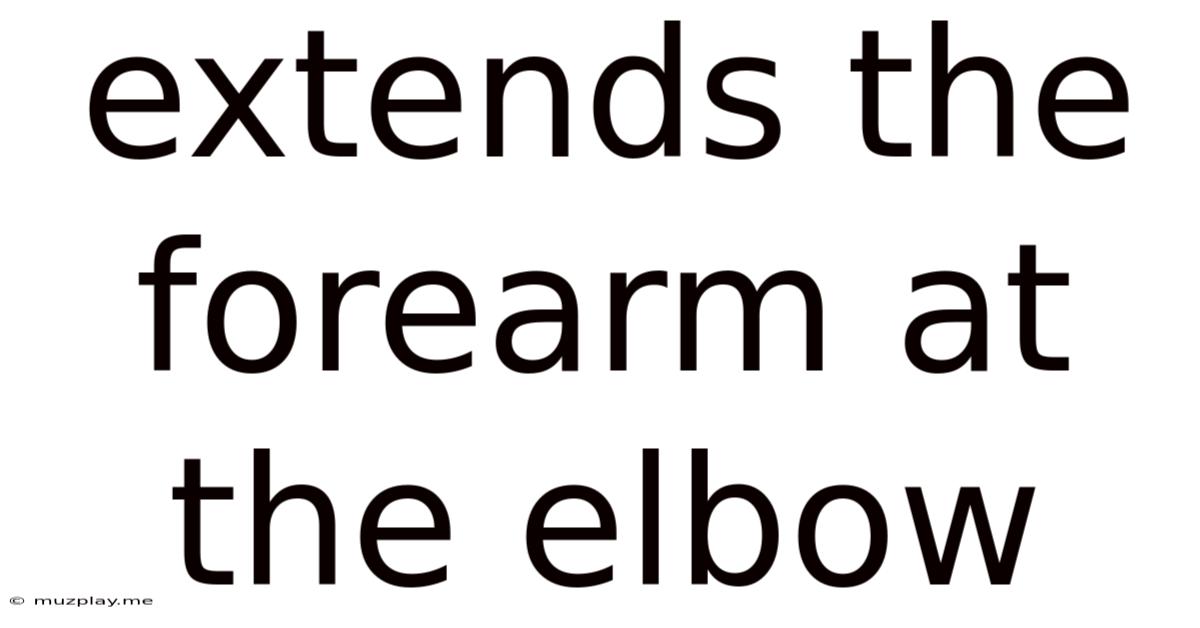 Extends The Forearm At The Elbow