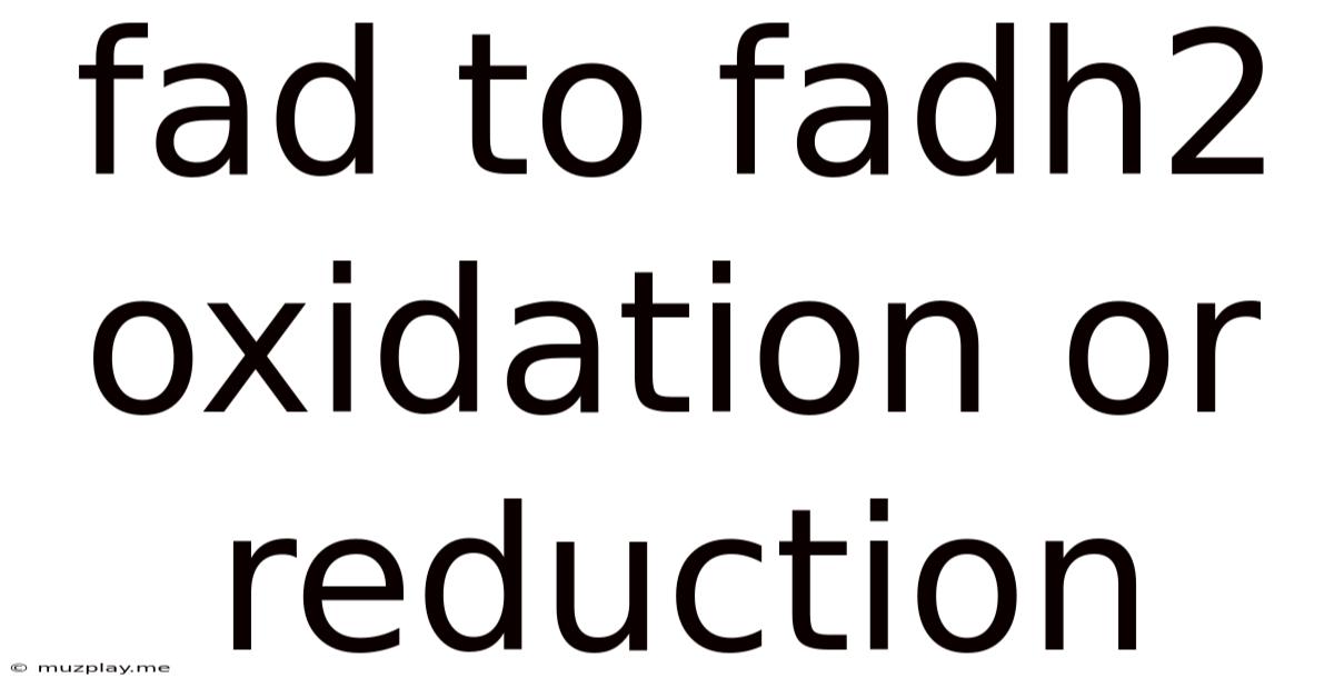 Fad To Fadh2 Oxidation Or Reduction
