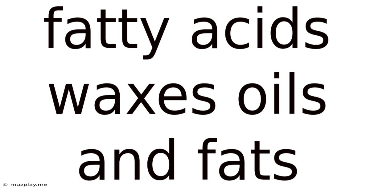Fatty Acids Waxes Oils And Fats