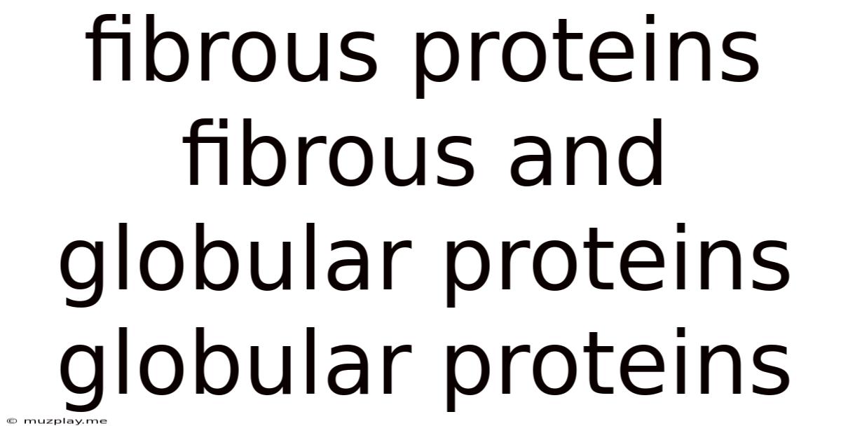 Fibrous Proteins Fibrous And Globular Proteins Globular Proteins