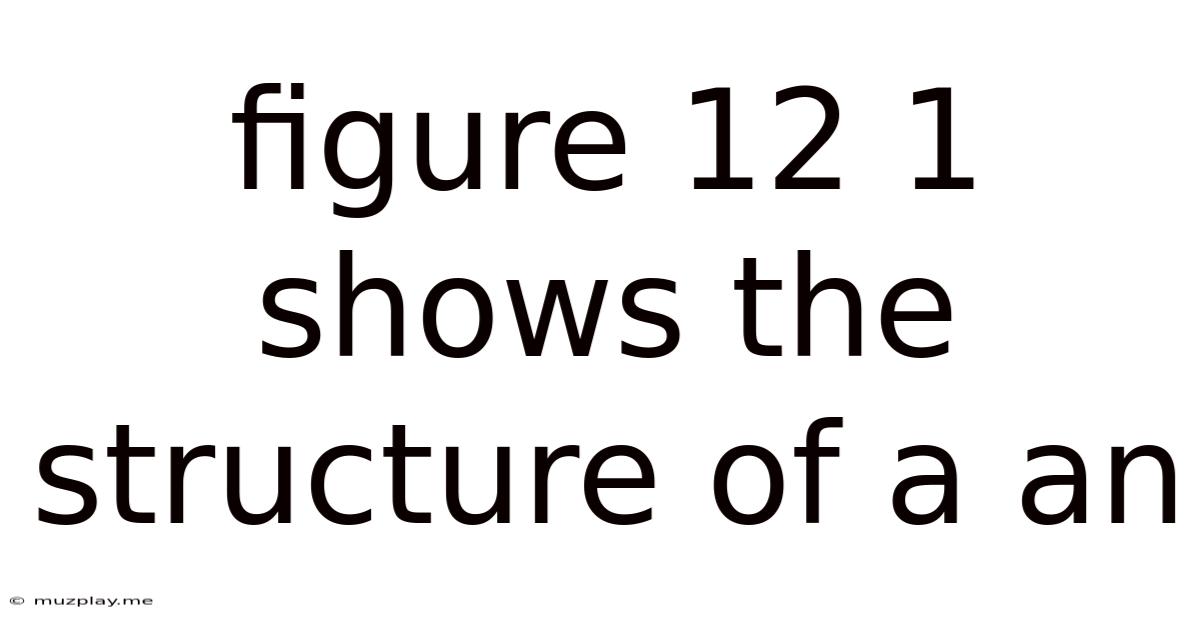 Figure 12 1 Shows The Structure Of A An