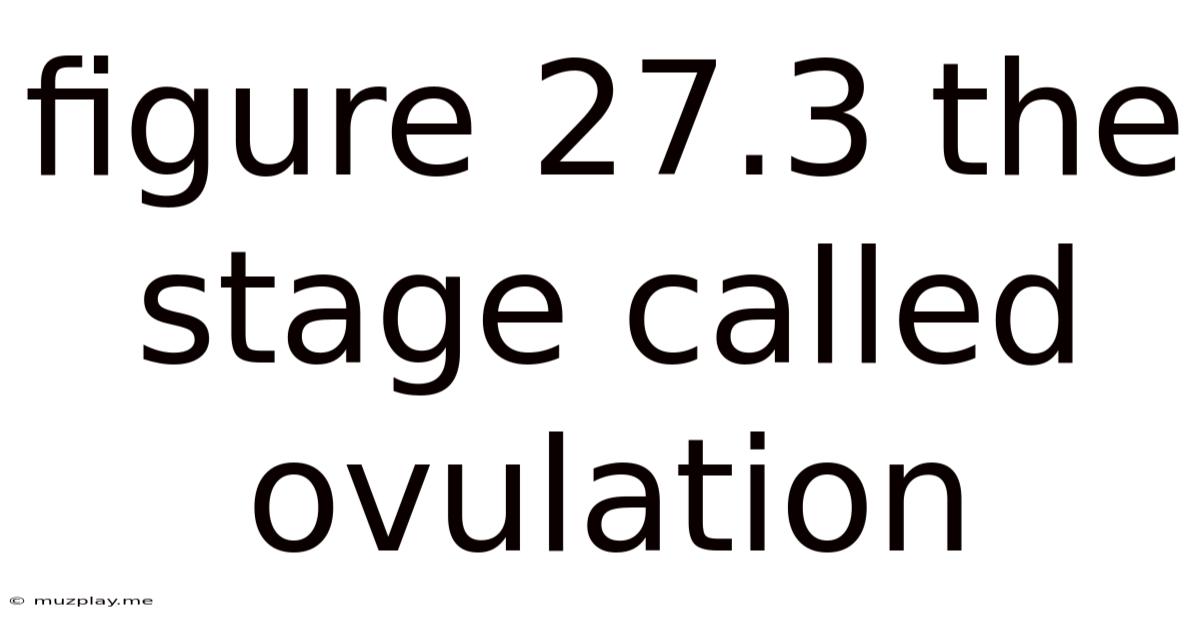 Figure 27.3 The Stage Called Ovulation