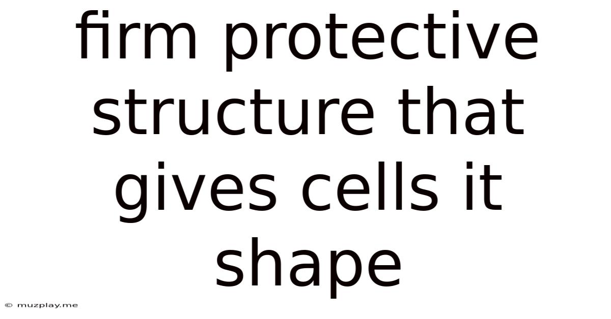 Firm Protective Structure That Gives Cells It Shape