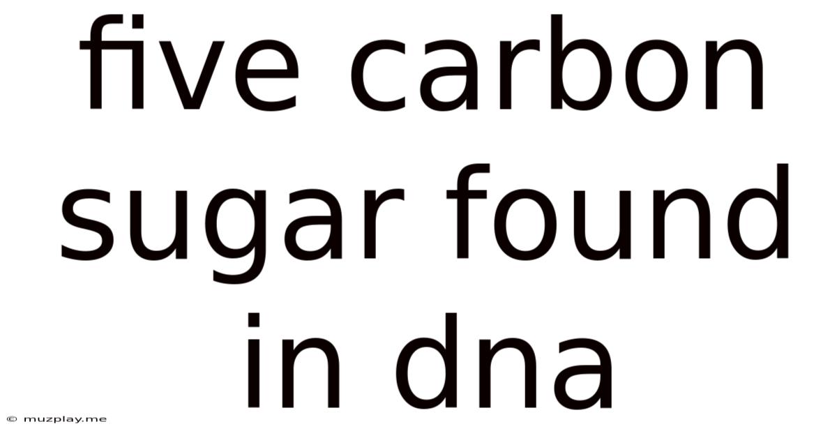 Five Carbon Sugar Found In Dna