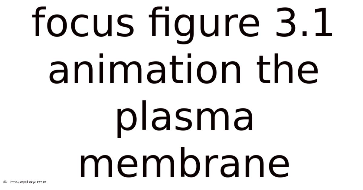Focus Figure 3.1 Animation The Plasma Membrane