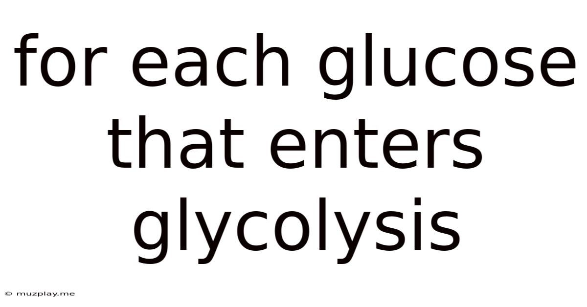 For Each Glucose That Enters Glycolysis