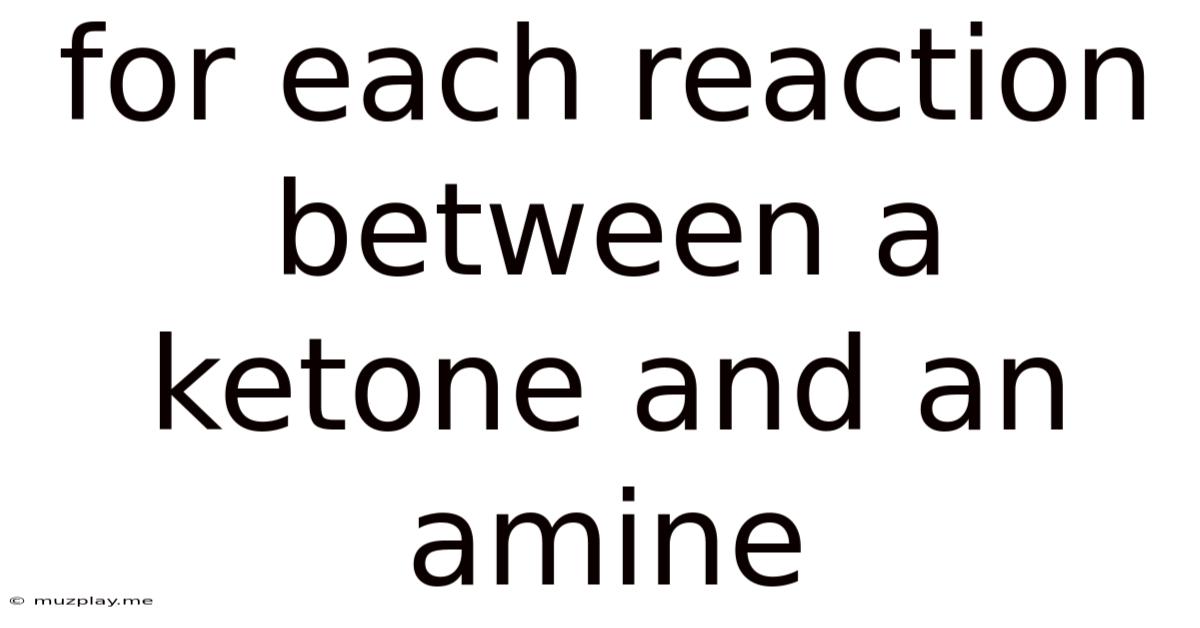 For Each Reaction Between A Ketone And An Amine