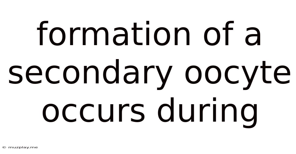 Formation Of A Secondary Oocyte Occurs During