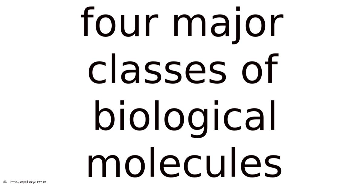 Four Major Classes Of Biological Molecules