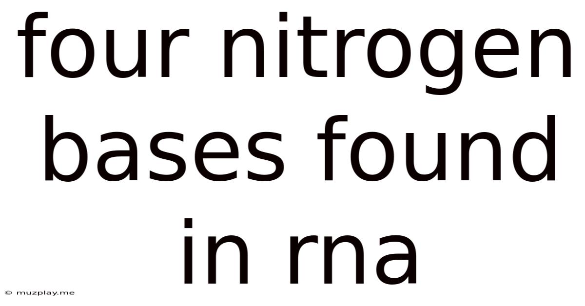 Four Nitrogen Bases Found In Rna
