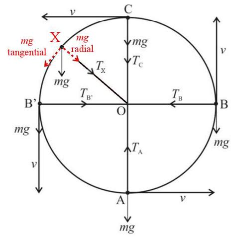 Free Body Diagram For Circular Motion