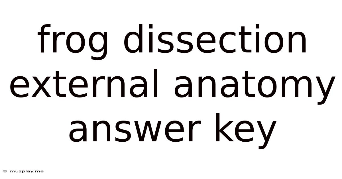 Frog Dissection External Anatomy Answer Key