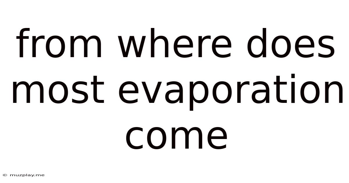 From Where Does Most Evaporation Come