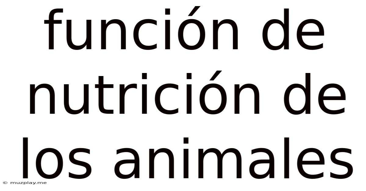 Función De Nutrición De Los Animales