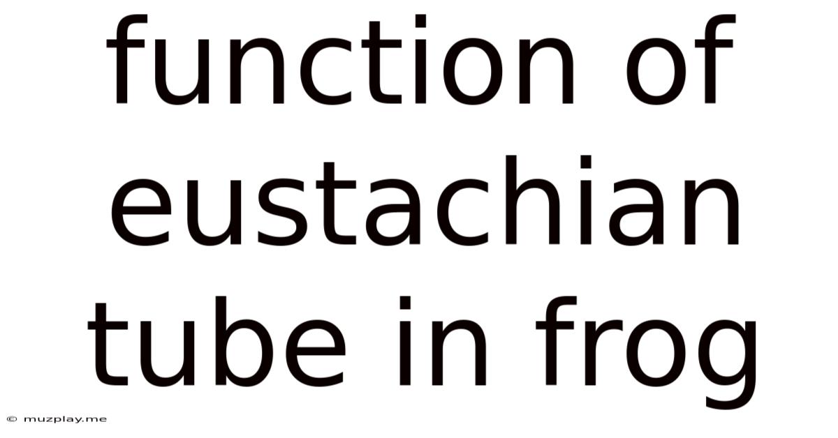 Function Of Eustachian Tube In Frog