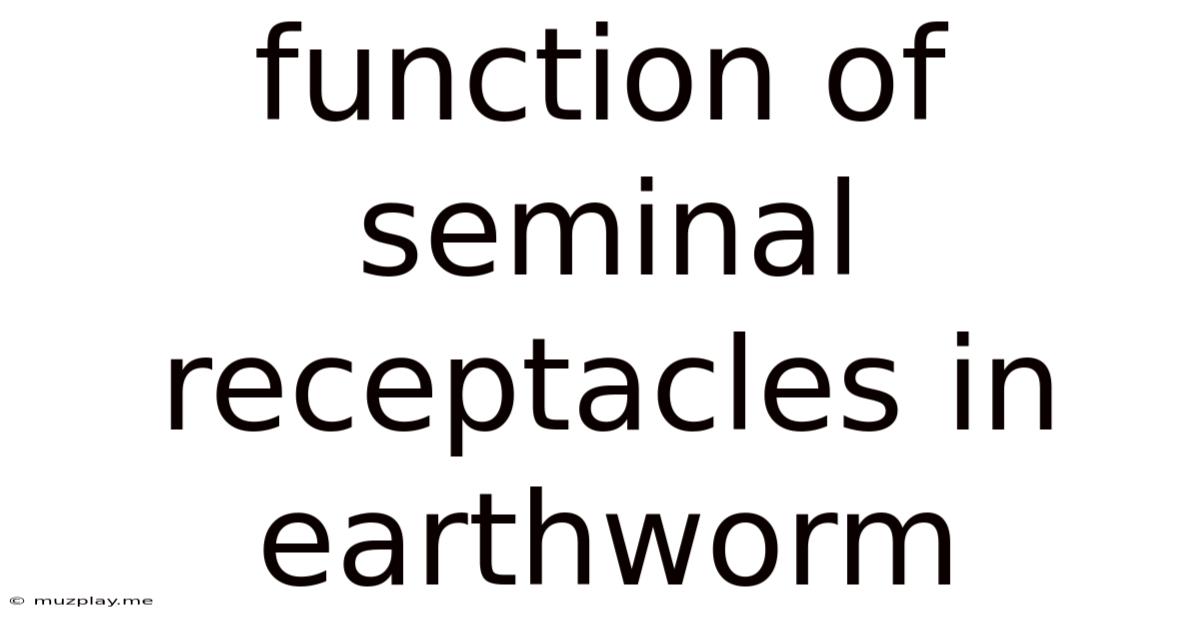 Function Of Seminal Receptacles In Earthworm