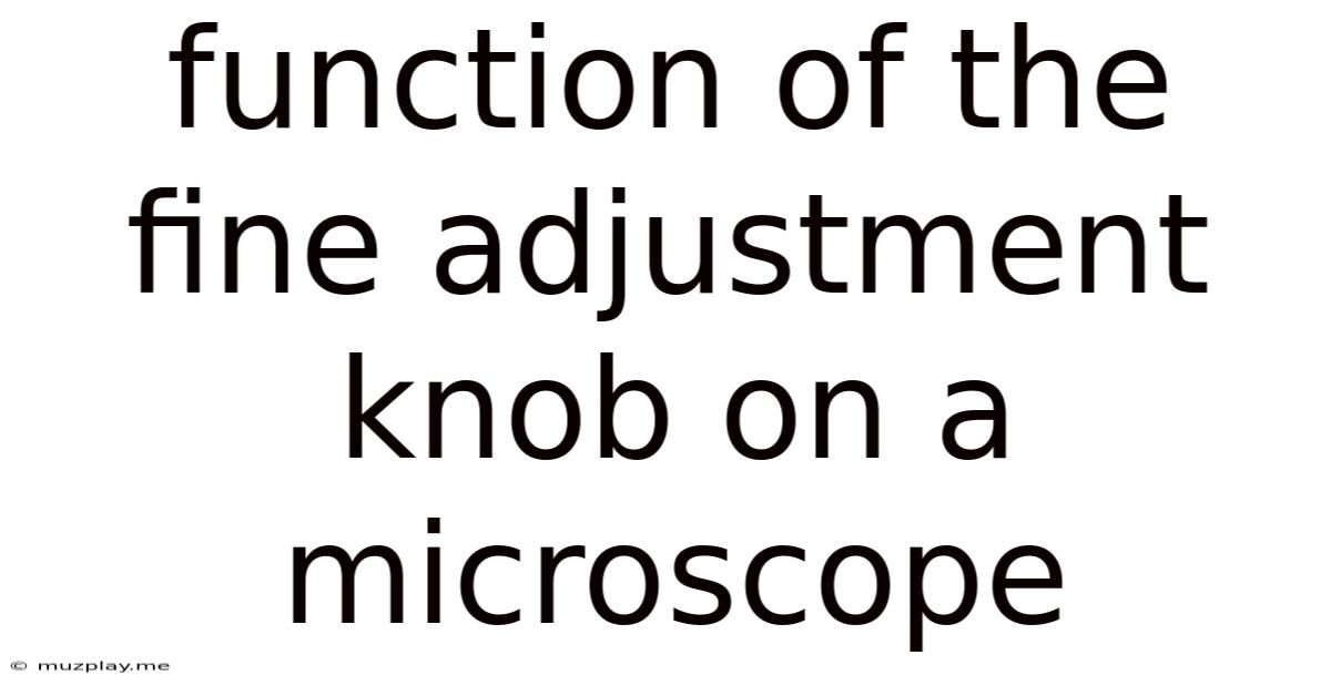 Function Of The Fine Adjustment Knob On A Microscope