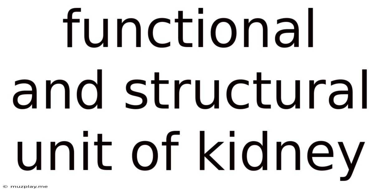Functional And Structural Unit Of Kidney