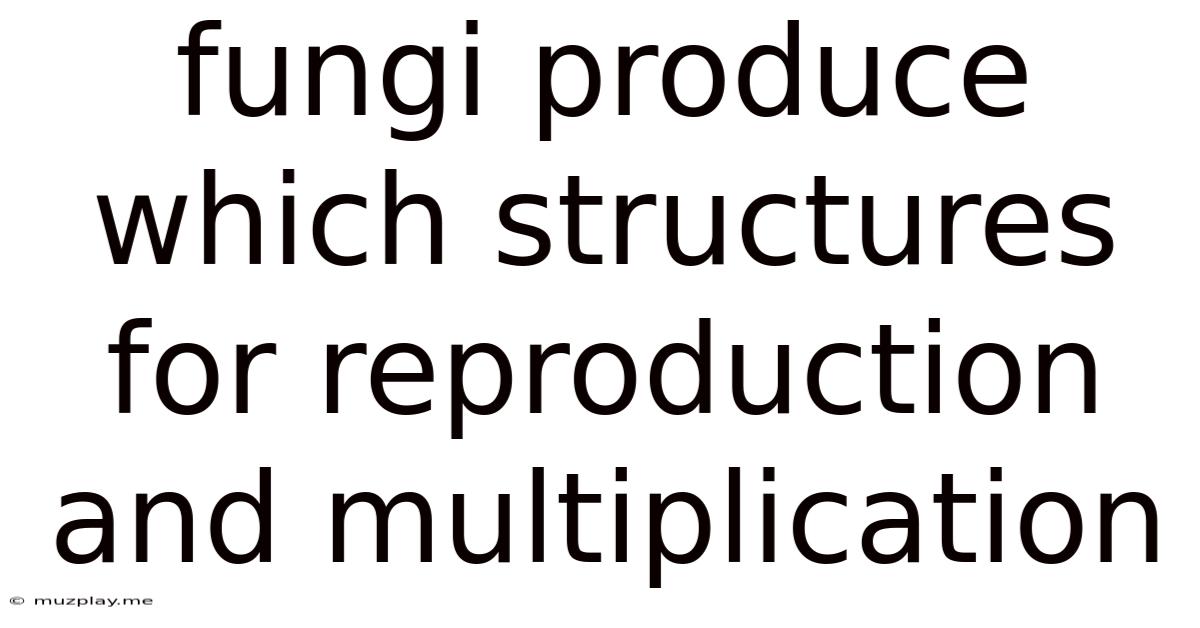 Fungi Produce Which Structures For Reproduction And Multiplication
