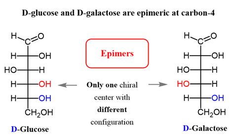 Galactose Is An Epimer Of Glucose