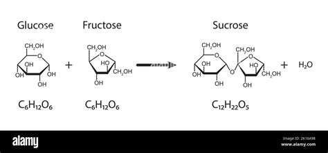 Glucose And Fructose Combine To Form