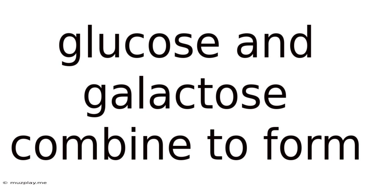 Glucose And Galactose Combine To Form